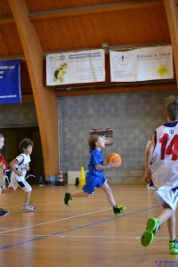 Categoria scoiattoli dell'ecs basket crescentino