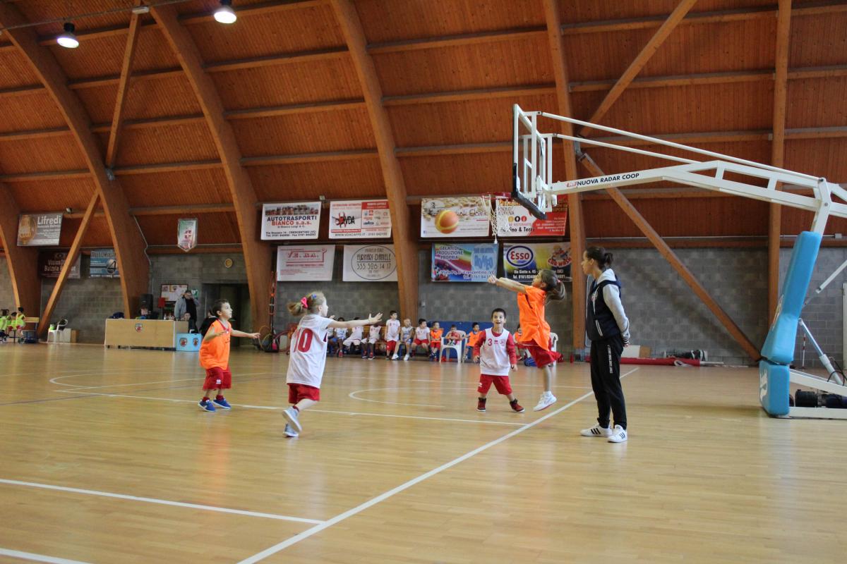 I pulcini dell'ecs debuttano nel loro primo concentramento fip